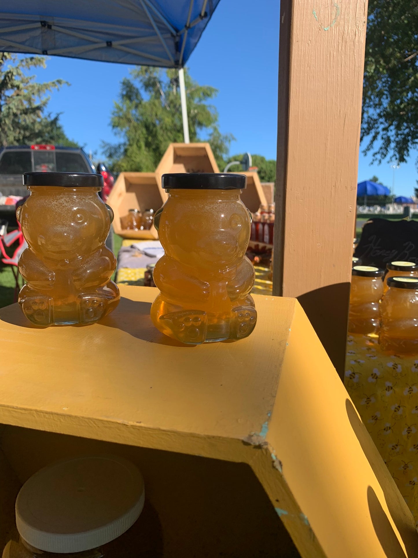 Glass Honey Bear