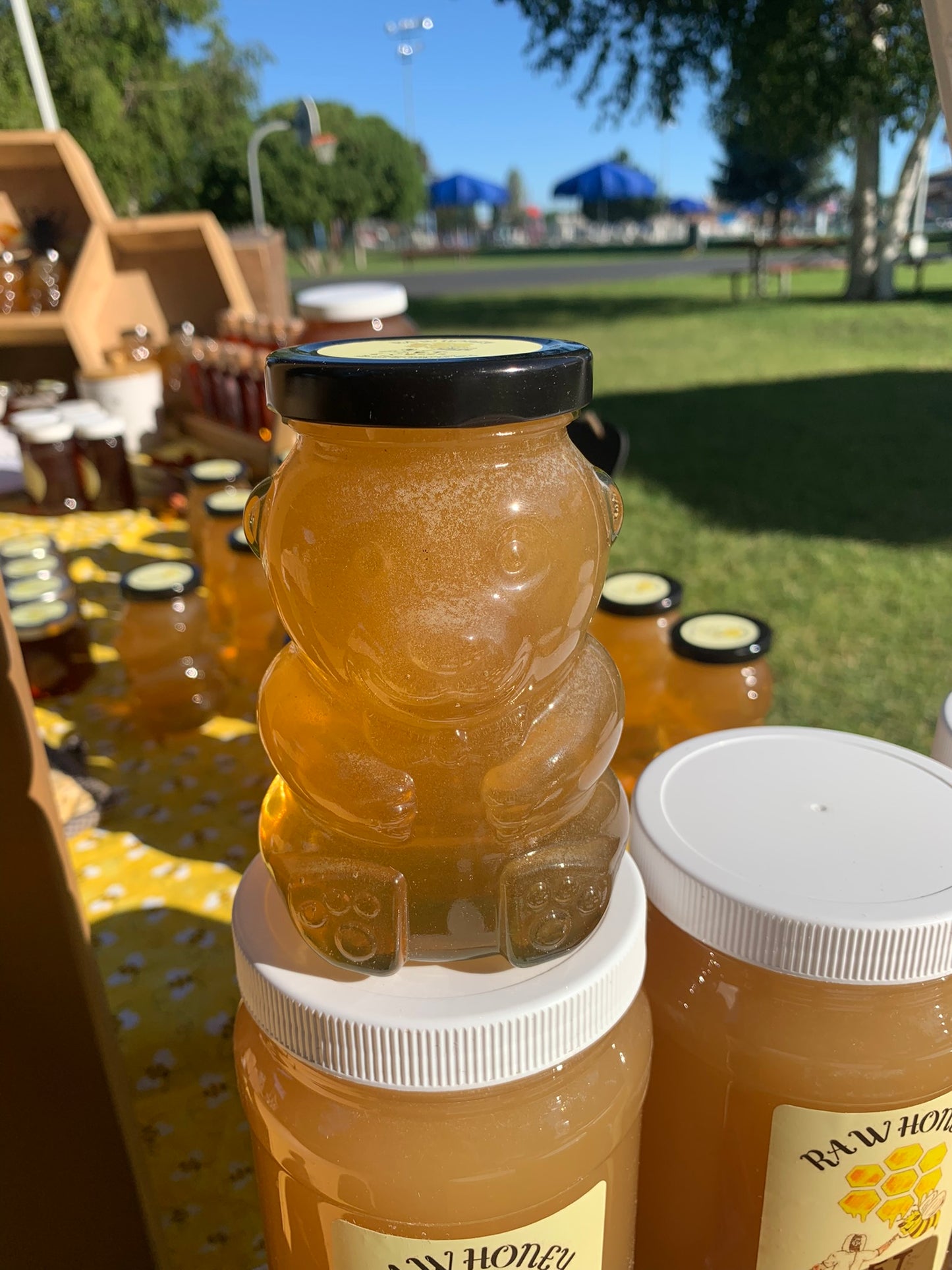 Glass Honey Bear